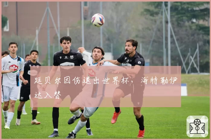 廷贝尔因伤退出世界杯,海特勒伊达入替